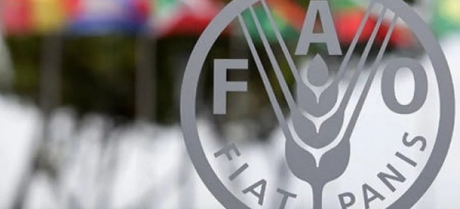FAO: Küresel gıda fiyatları son 19 ayın zirvesinde