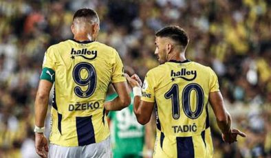 Tadic ve Dzeko’nun ayrılığının perde arkası: ‘İstemiyoruz’